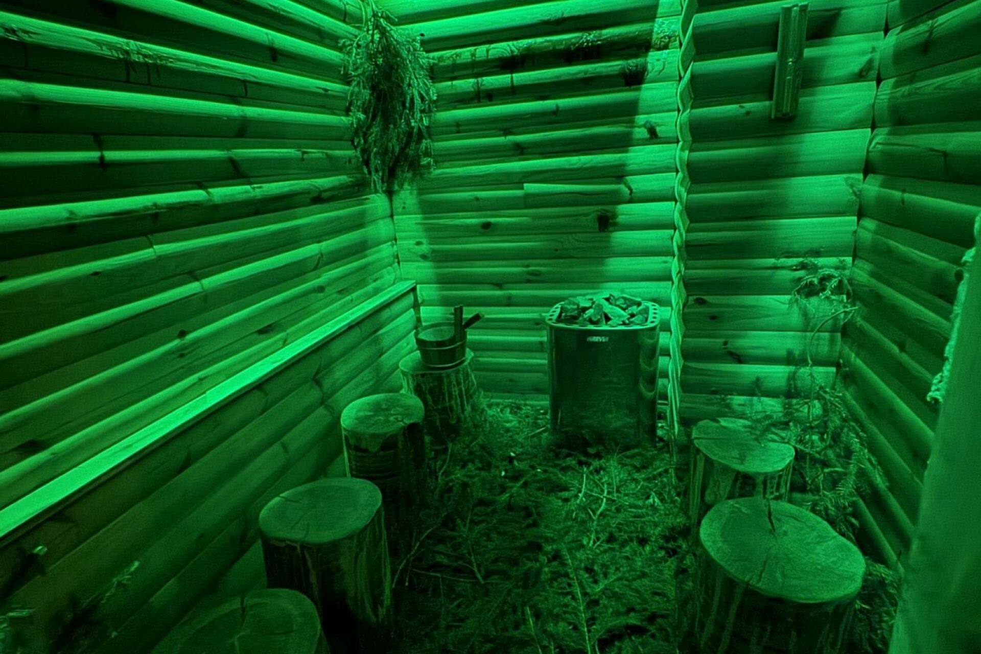 TANNENSAUNA